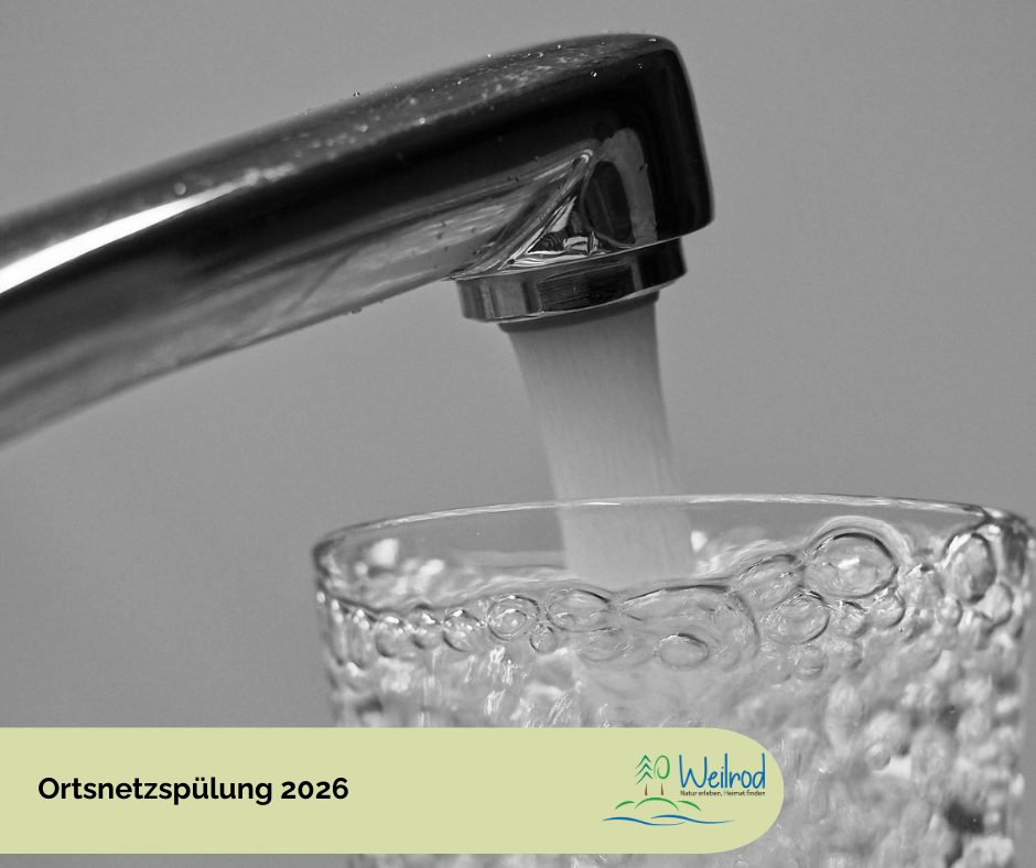 FB Vorlage Beiträge - 1